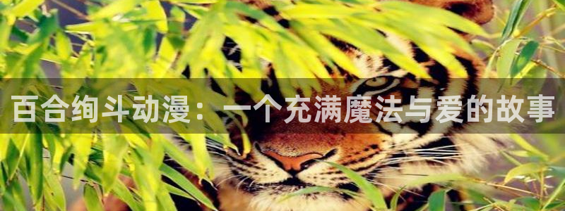 里番动漫应用：百合绚斗动漫：一个充满魔法与爱的故事