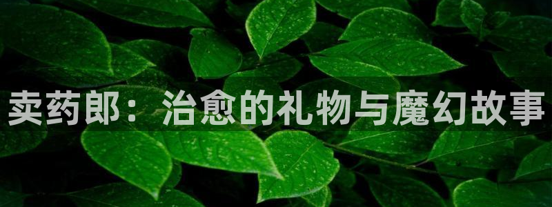 里番 漫画 在线：卖药郎：治愈的礼物与魔幻故事