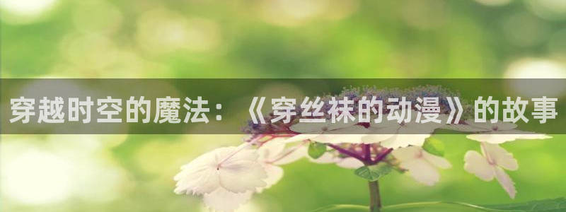 里番动漫网址：穿越时空的魔法：《穿丝袜的动漫》的故事
