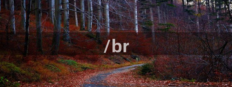 里番动漫触手：/br
