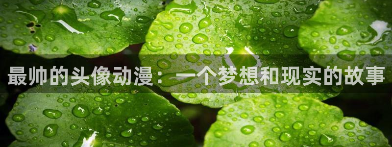 里番动漫 在线观看：最帅的头像动漫：一个梦想和现实的故事
