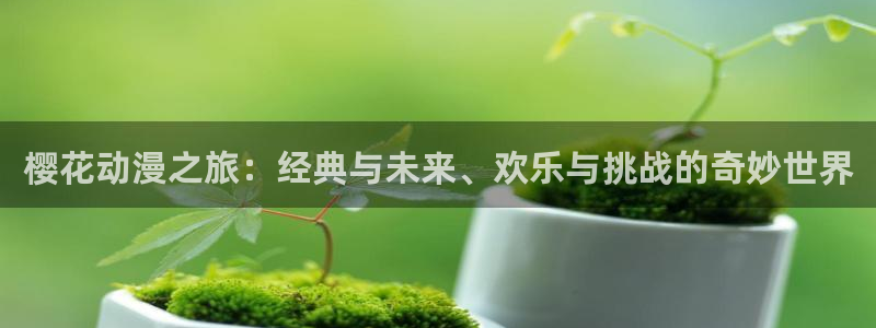 里番动漫网页入口：樱花动漫之旅：经典与未来、欢乐与挑战的奇妙世界